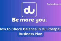 How to Check Balance in Du Postpaid Business Plan