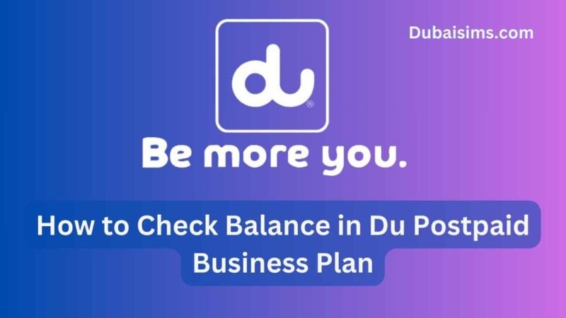 How to Check Balance in Du Postpaid Business Plan