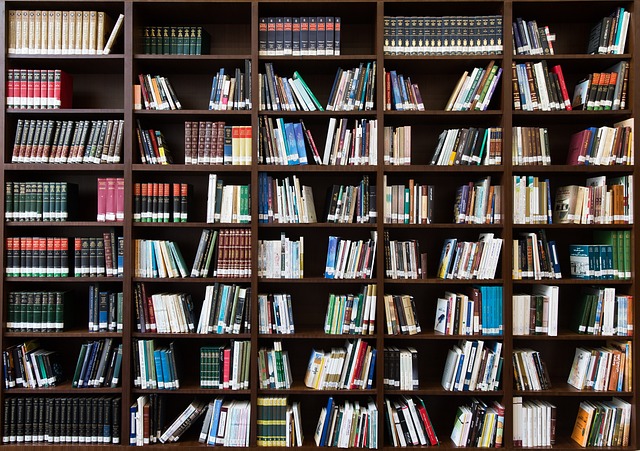 Zlibrary and the Shift From Scarcity to Abundance in Books